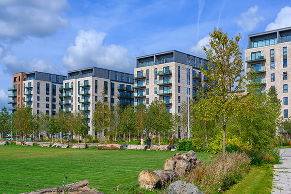 Our Brands, Berkeley