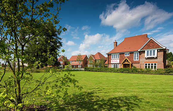 Development Hampshire