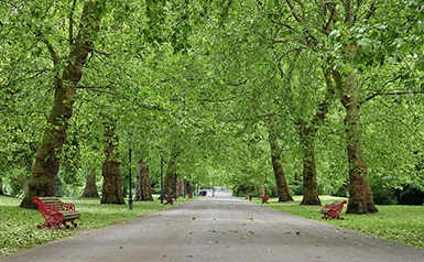 Berkeley Magazine, The Best 5 Parks in London, Battersea Park