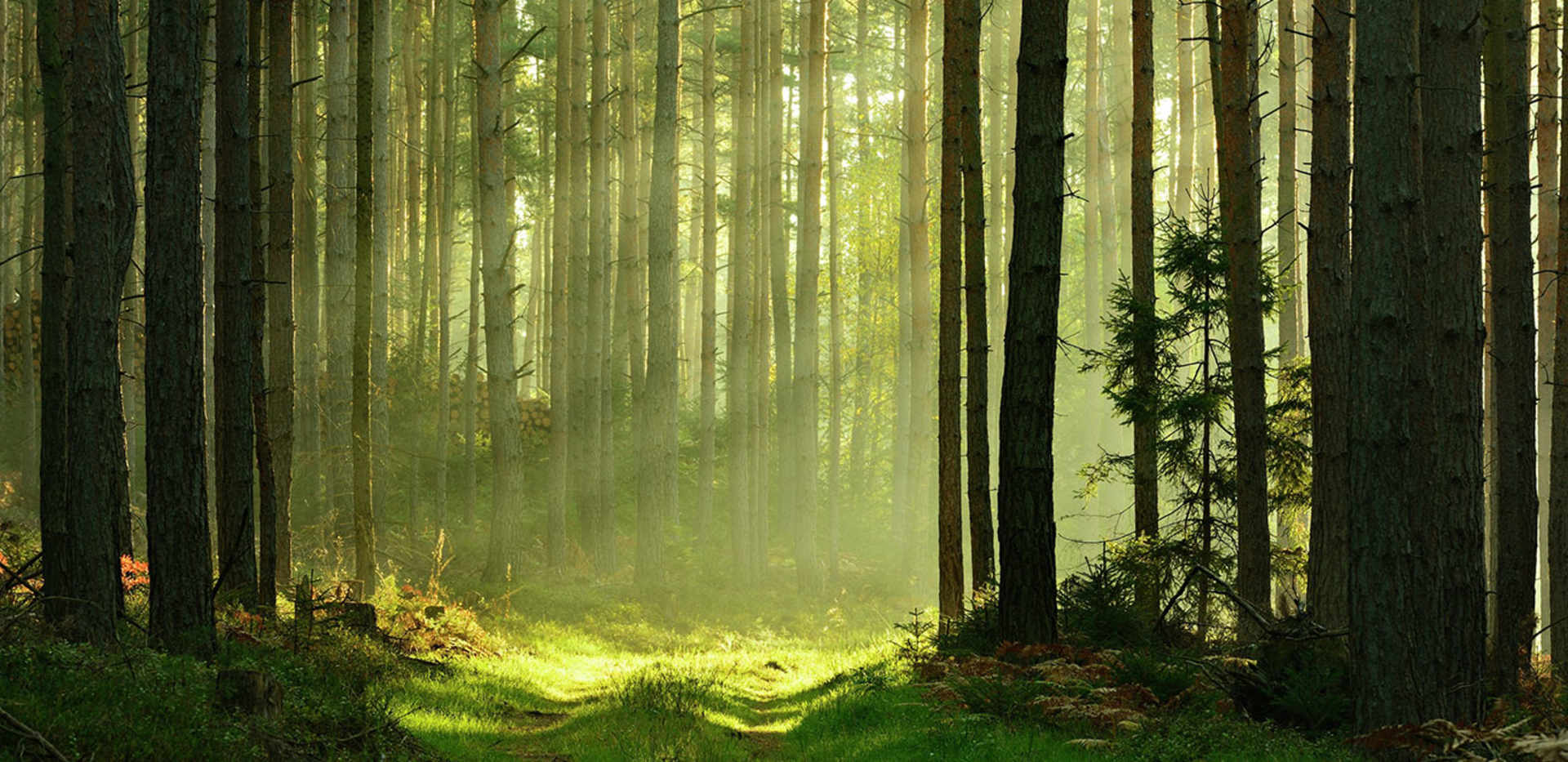 Why Hampshire is a Haven for Outdoor Pursuits, Header