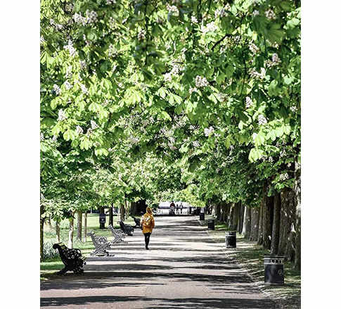 Berkeley Group, Green Spaces, Blackheath