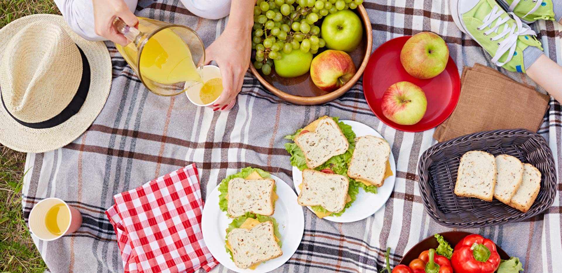 Berkeley Group, Secrets to Planning a Picnic, Header