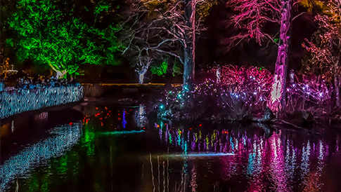 Christmas at Kew Gardens