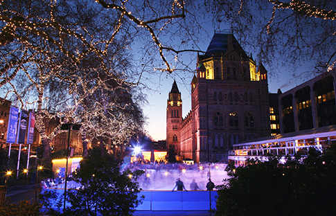 The Natural History Museum - Ice Skating Rink