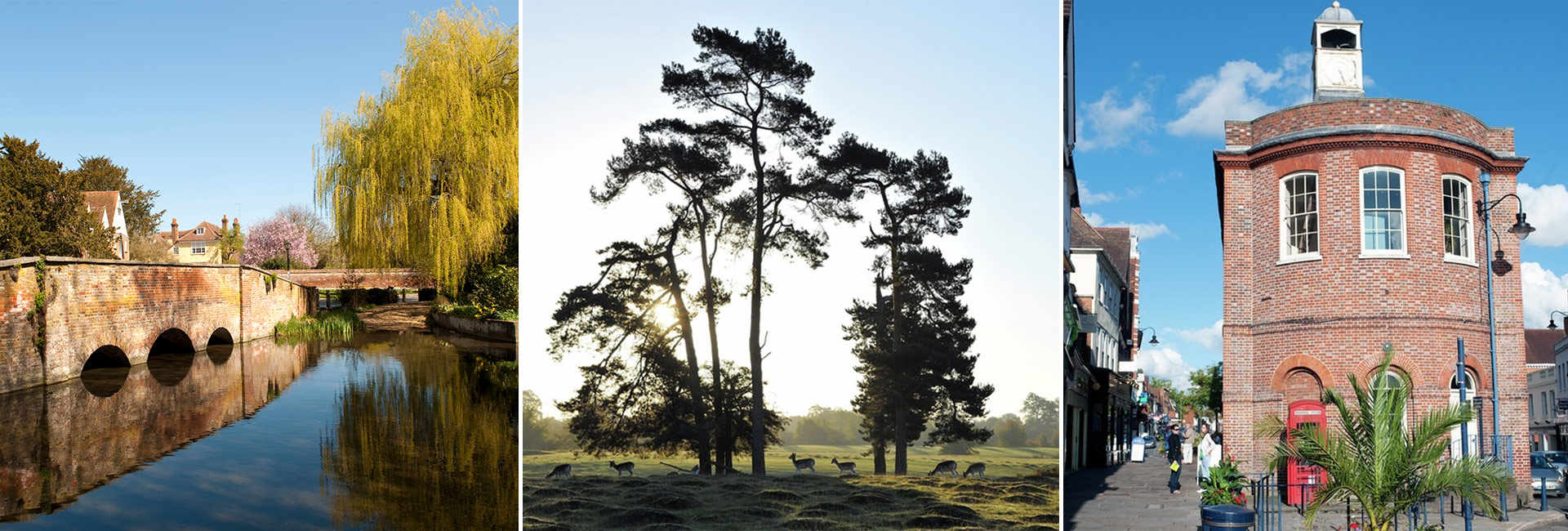 A collage of three images, showing the best of commuter towns near London. The first image is of a rural setting, featuring a bridge that crosses a river. Beside the bridge, trees line the bank of the river, including a Willow tree. Houses can be seen through the gaps of the trees in the distance. The second image is of a vast green field, featuring deer and trees. The sun has started to set between the trees, meaning the trees cast shadows on the ground below. The third image is of a commuter town near London. A large building takes pride of place in the foreground with a side street that leads to the High Street