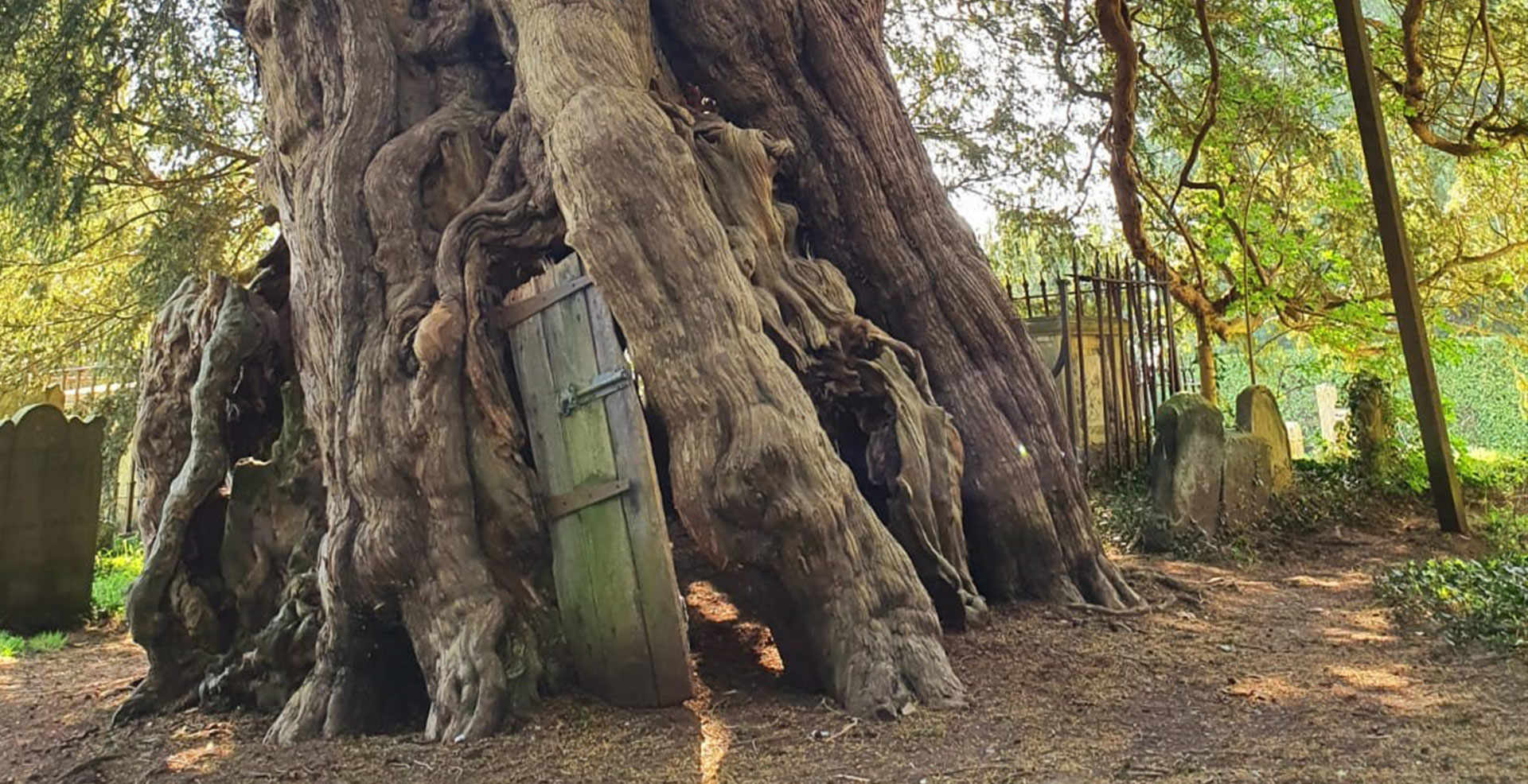 Yew-Tree-Way-landscape | Berkeley Inspiration