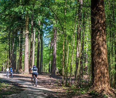 Summer Guide Woodland Walks | Berkeley Inspiration