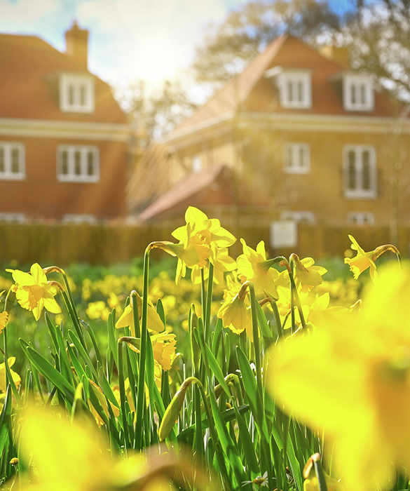 Trent Park | Berkeley Inspiration