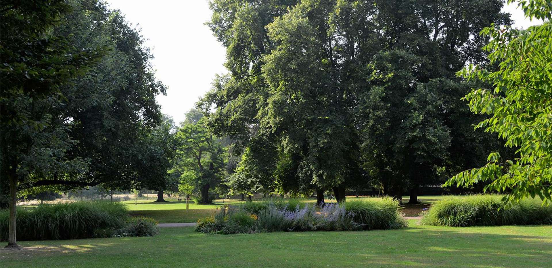 Berkeley, Napier Square, Acton Park, Local Area