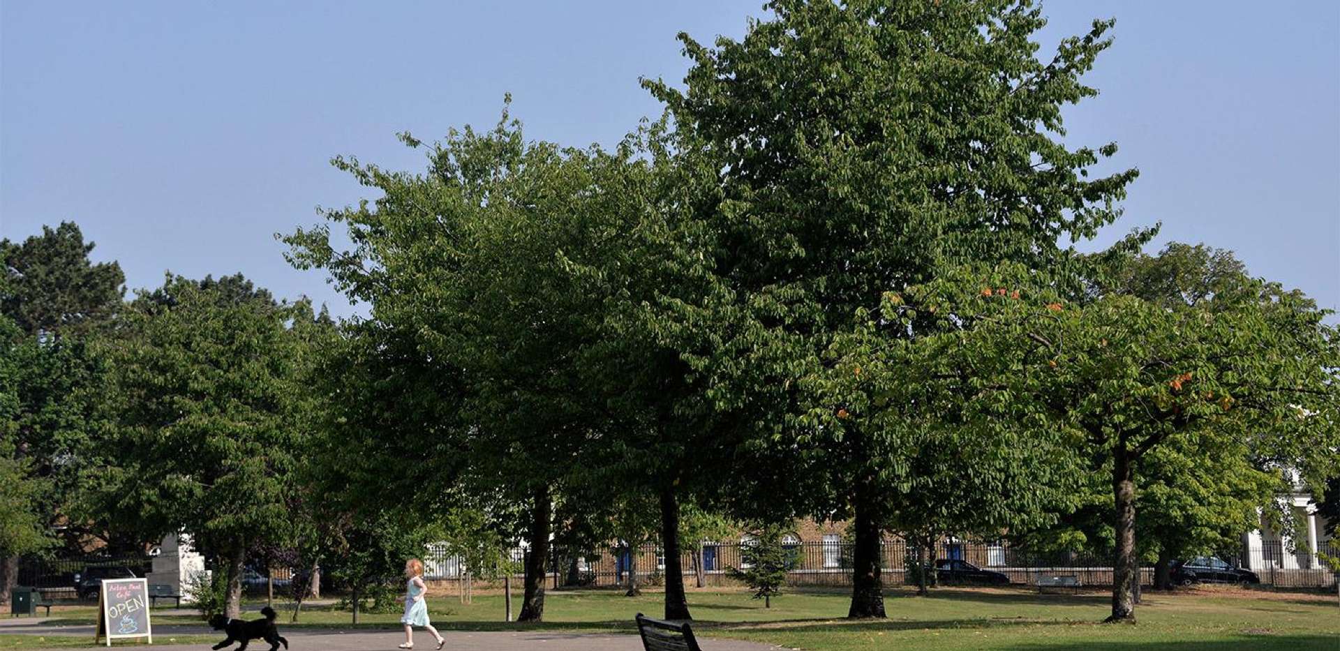 Berkeley, Napier Square, Acton Park, Local Area