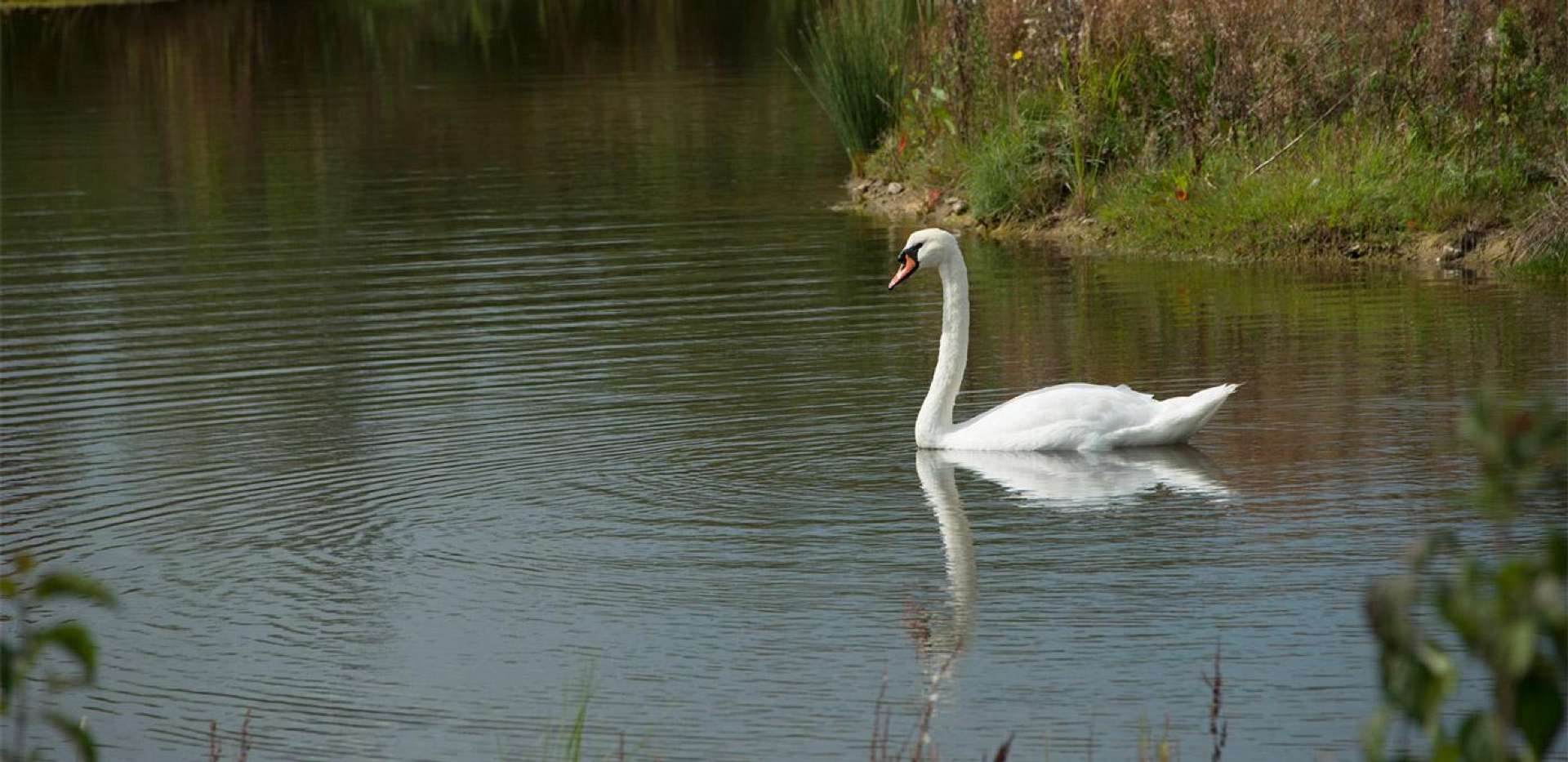Berkeley, Bersted Park, Lake, Local Area