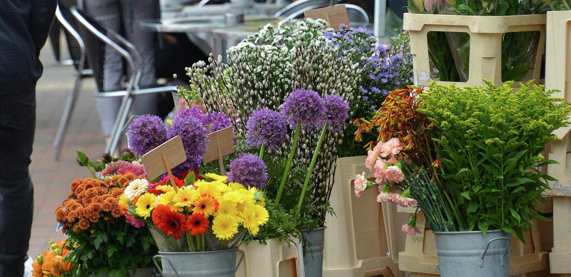 Berkeley, Royal Wells Park, Flowers, Local Area