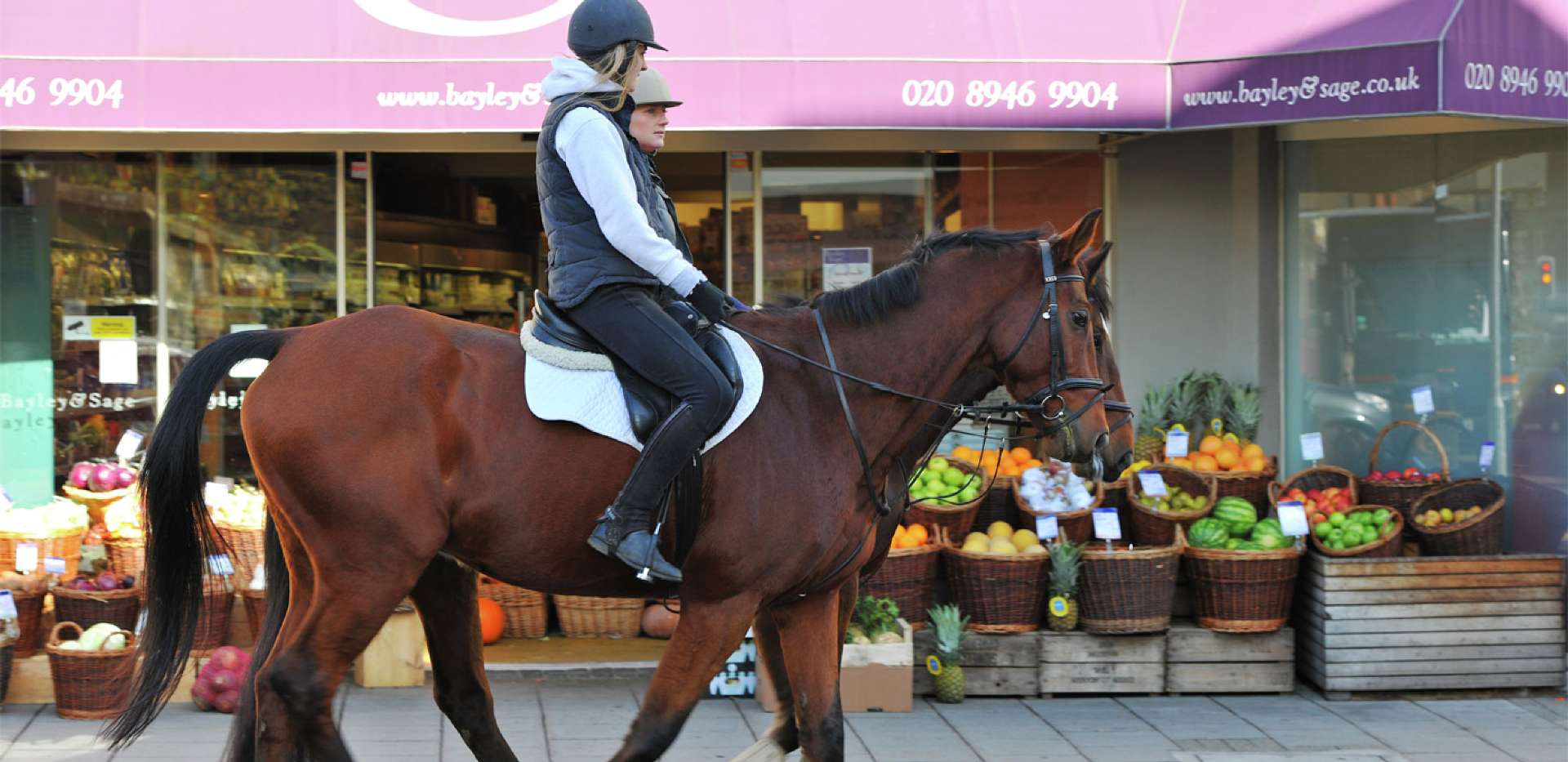 Berkeley, Holmhurst Mews, Bayley & Sage, Local Area