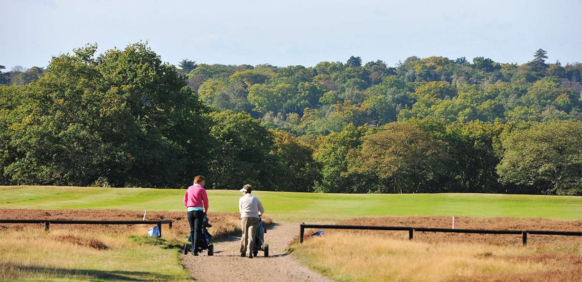 Berkeley, Holmhurst Mews, Park, Local Area