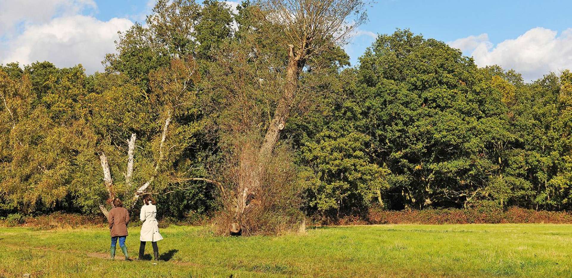 Berkeley, Holmhurst Mews, Park, Local Area