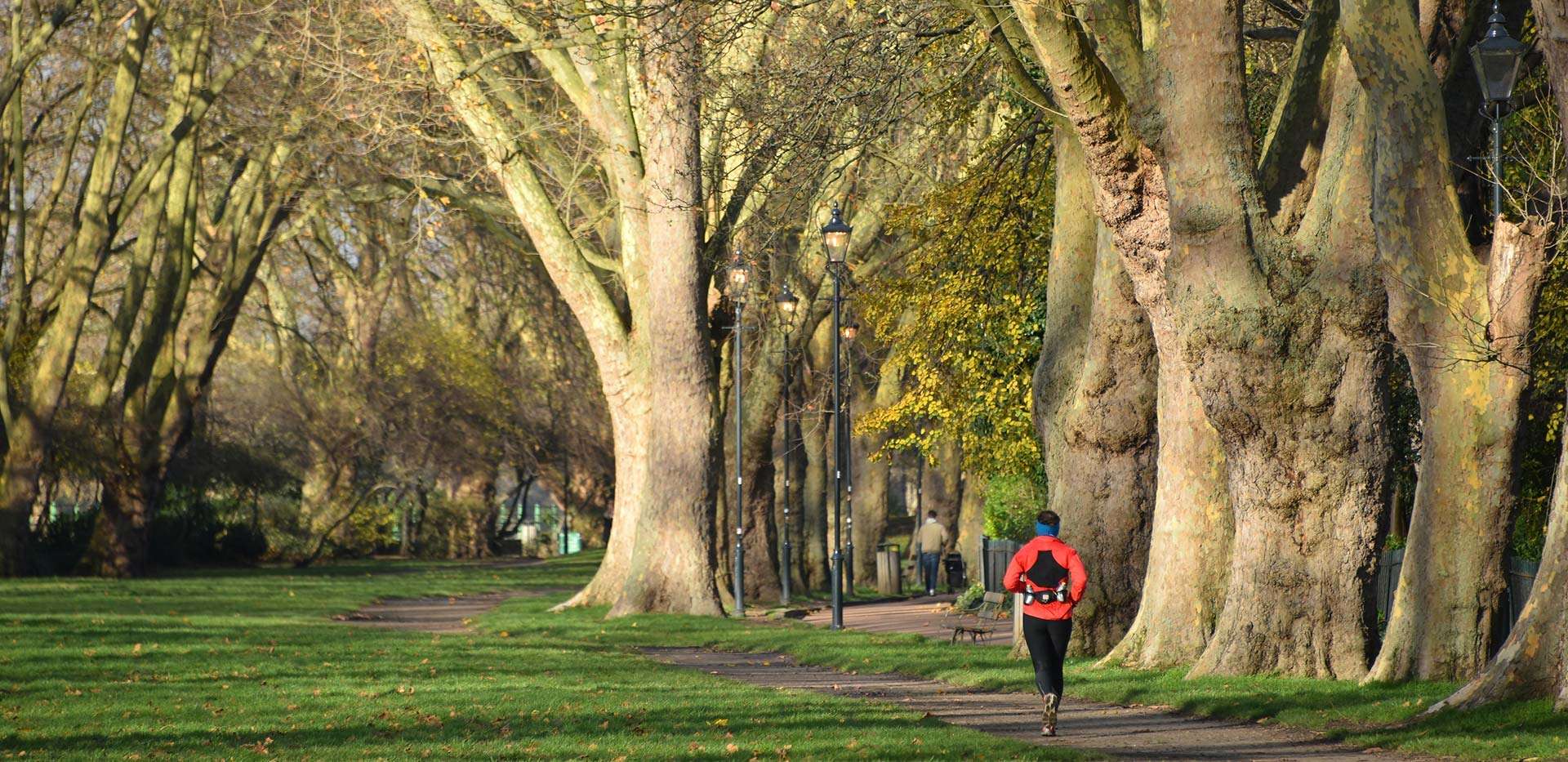 St James, Hurlingham Walk, Garden, Local, View