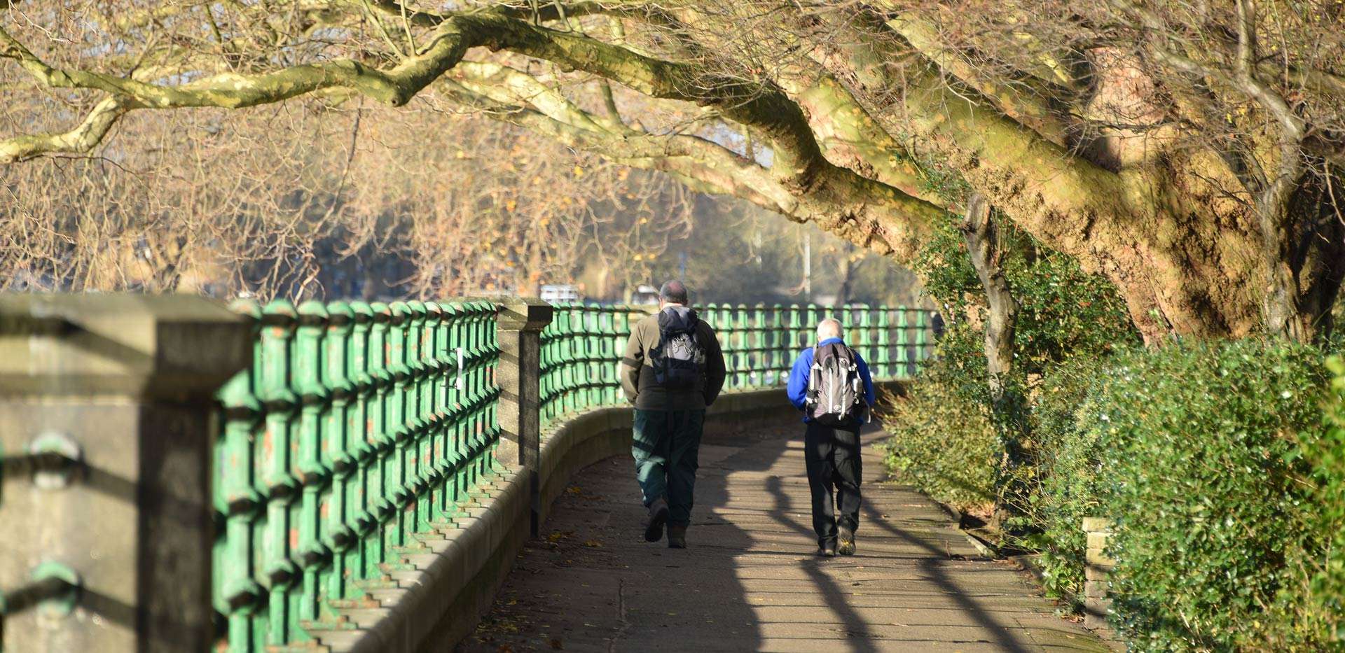 St James, Hurlingham Walk, Garden2, Local, View
