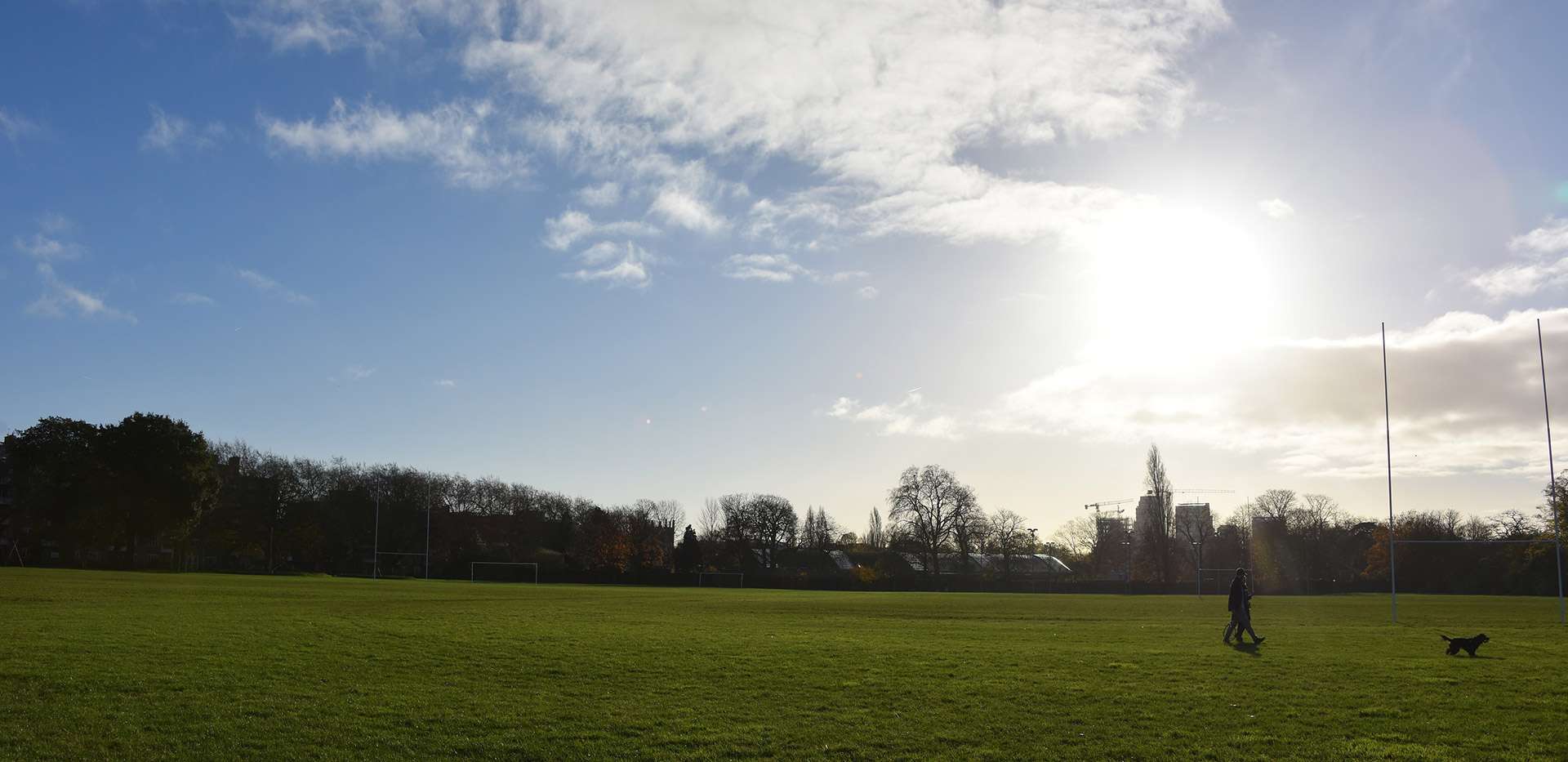 St James, Hurlingham Walk, Park, Local, View