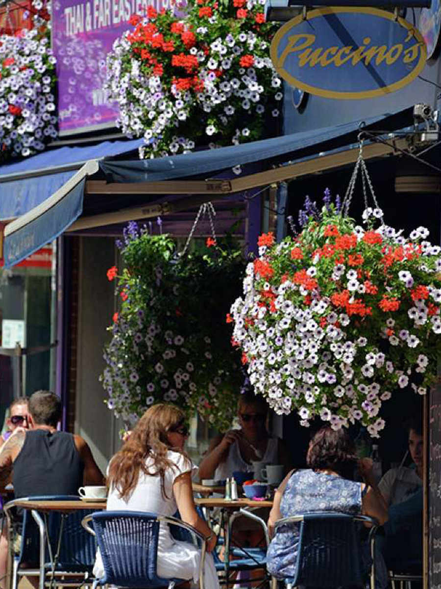 Berkeley, Winton Place, Puccino's, Local Area