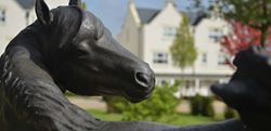 Berkeley, Highwood, Horse Statue