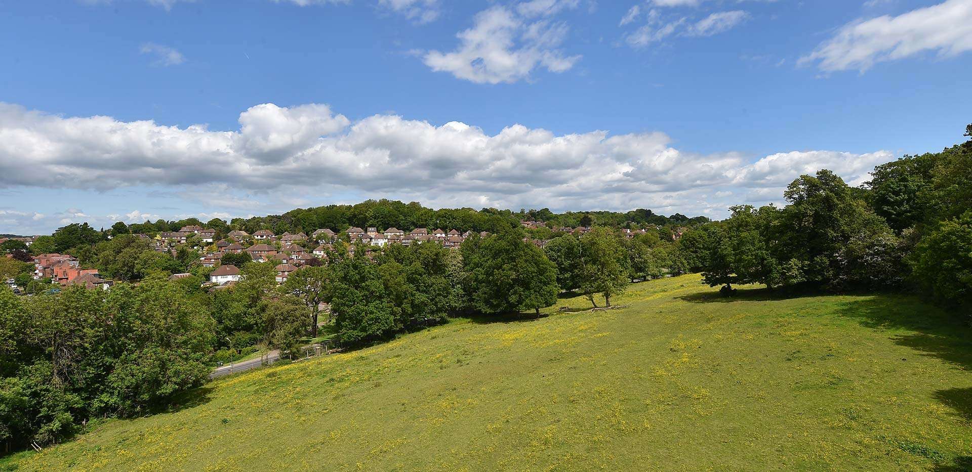 Berkeley, St Joseph's Gate, Exterior, Landscape View