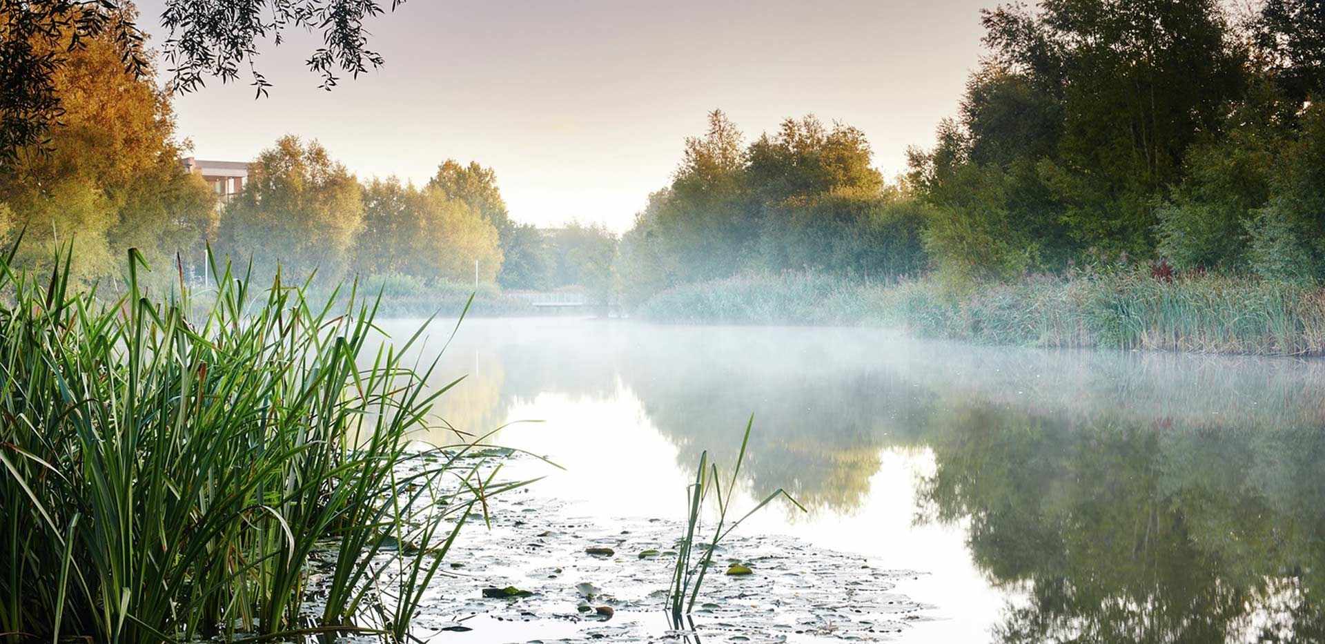 St Edward, Green Park Village, Local Area, Lake