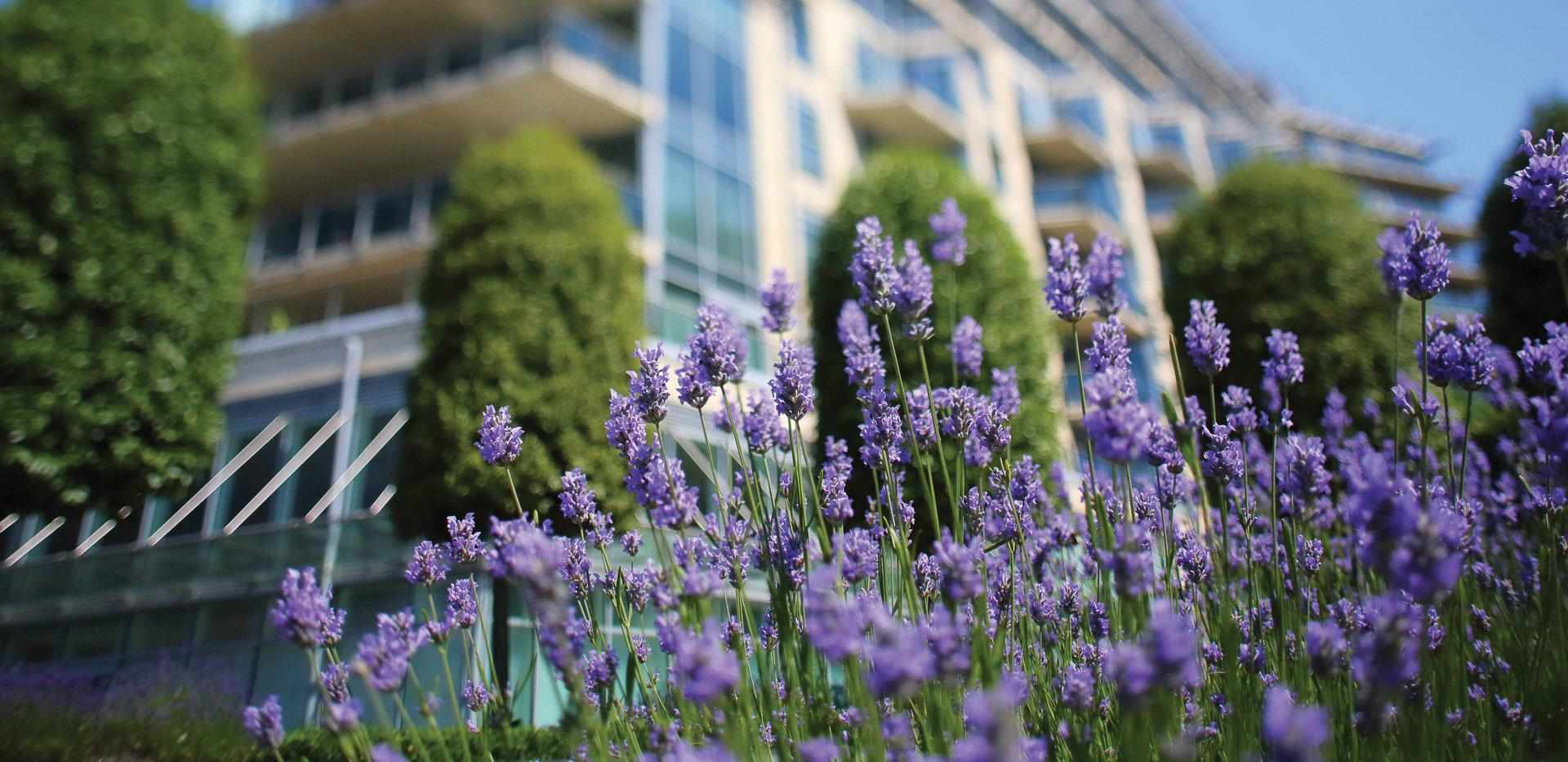 Berkeley, Battersea Reach, Development Exterior