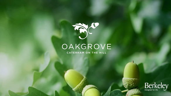 Berkeley, Oakgrove, Development