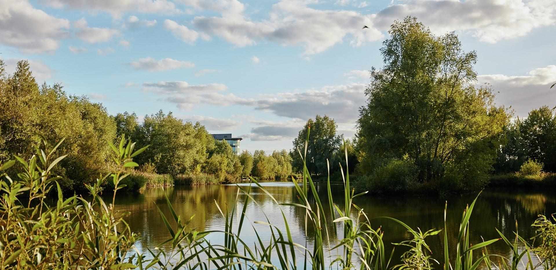 St Edward, Green Park Village, Local Area, Landscape