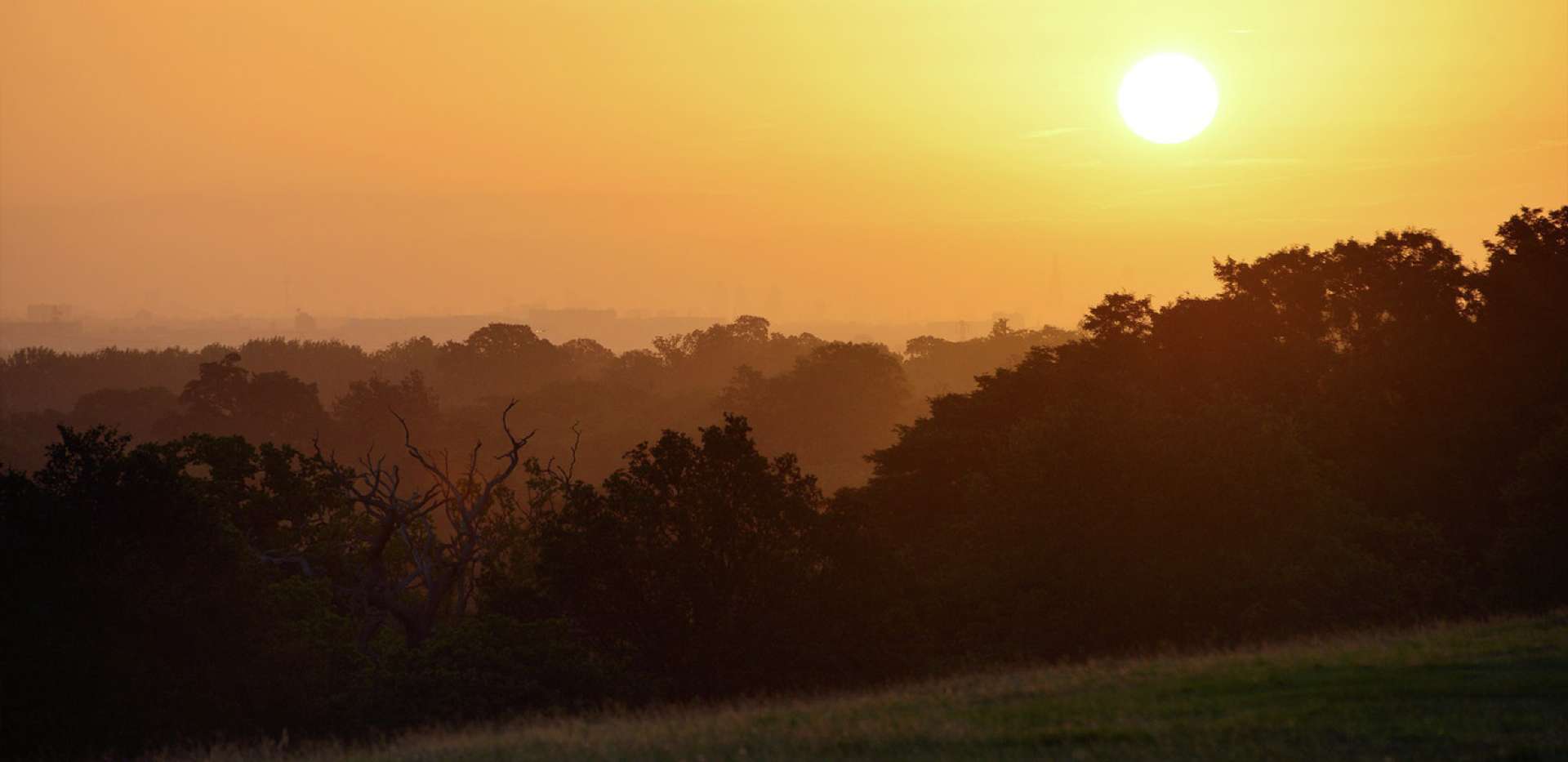 Berkeley, Queensbury Gardens, Royal Park, Local Area