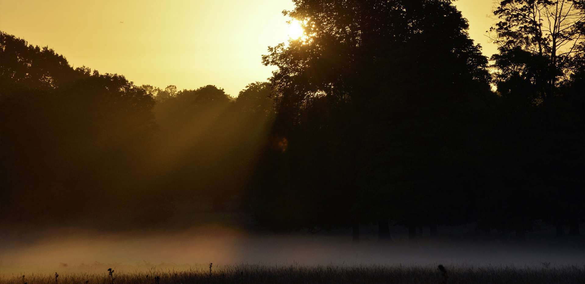 Berkeley, Queensbury Gardens, Royal Park, Local Area