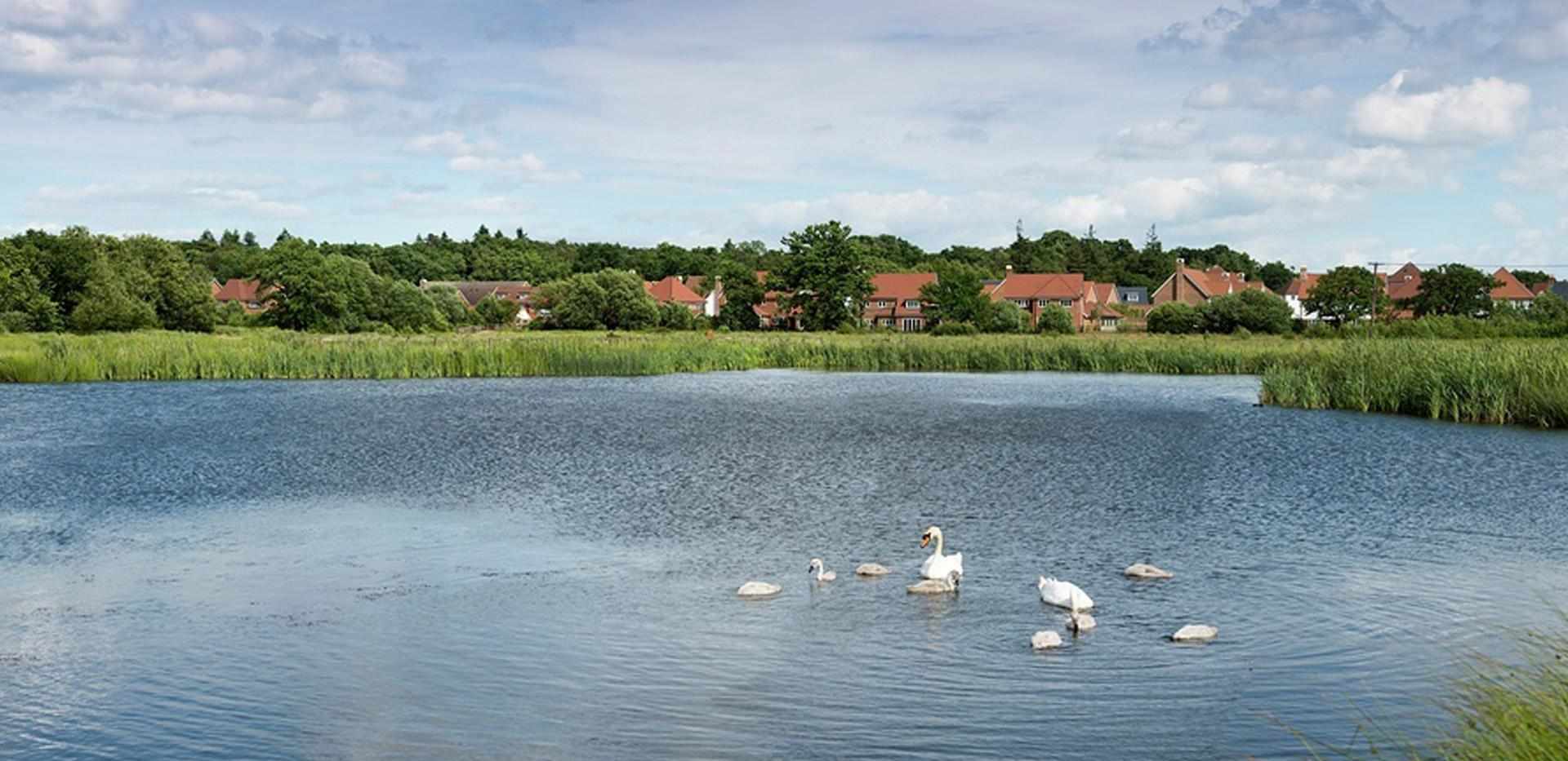Berkeley, Edenbrook, Exterior, Country Park