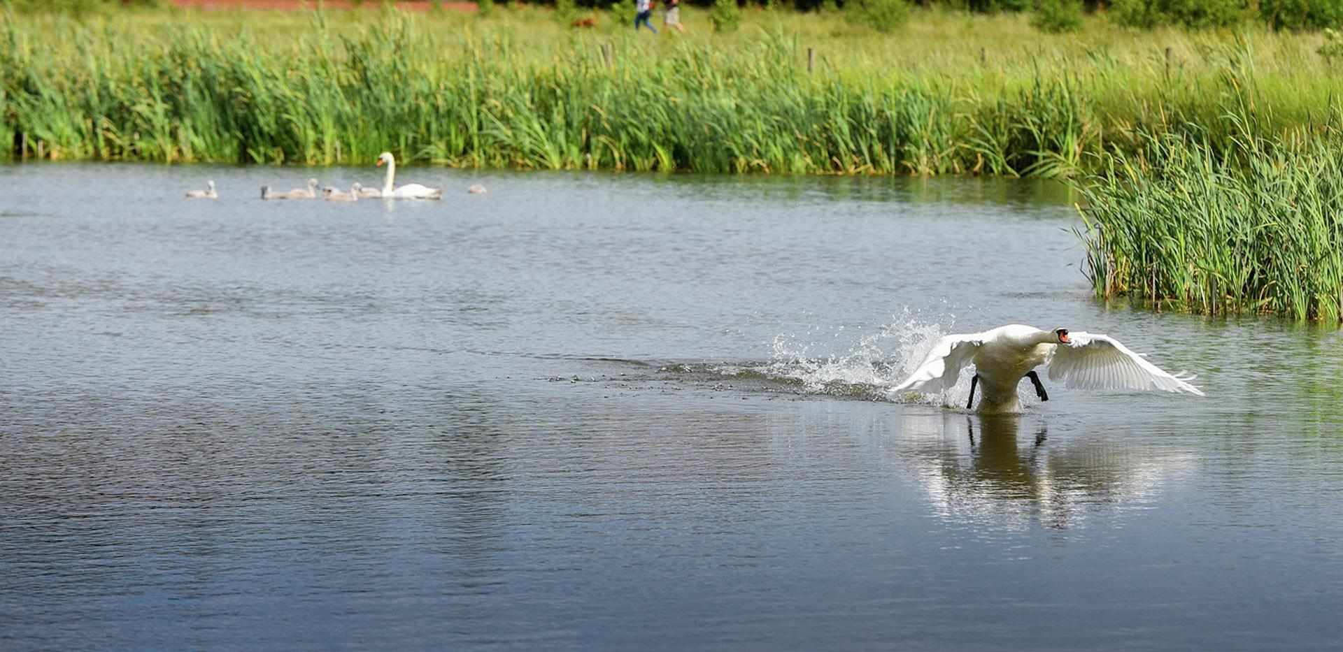 Berkeley, Edenbrook, Exterior, Country Park