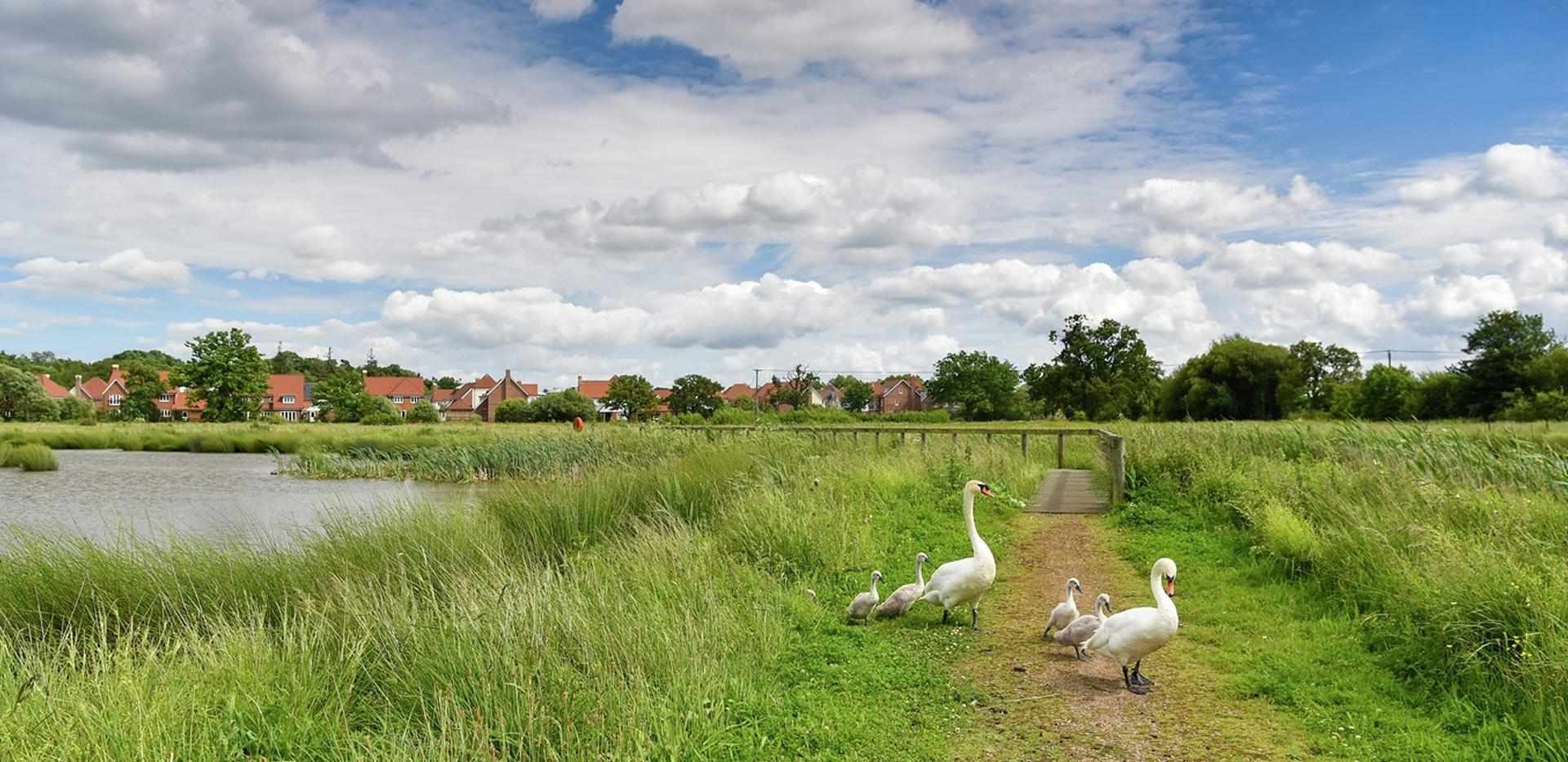 Berkeley, Edenbrook, Exterior, Country Park