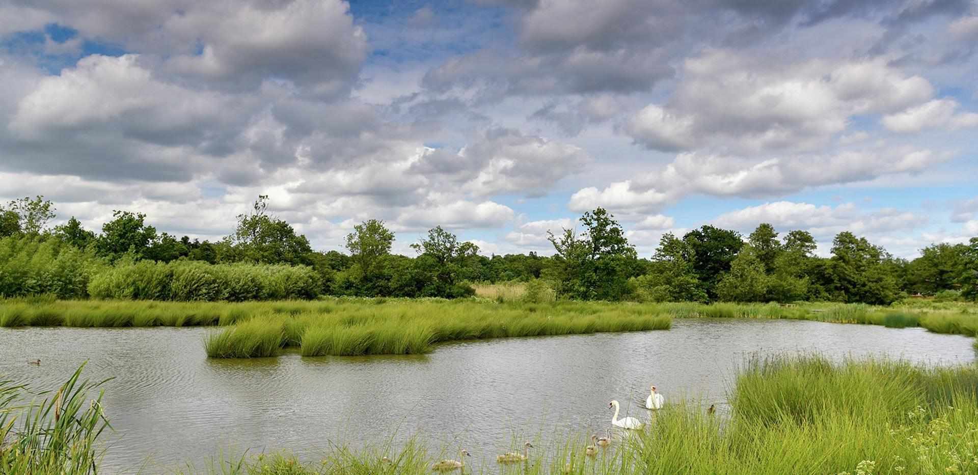 Berkeley, Edenbrook, Exterior, Country Park