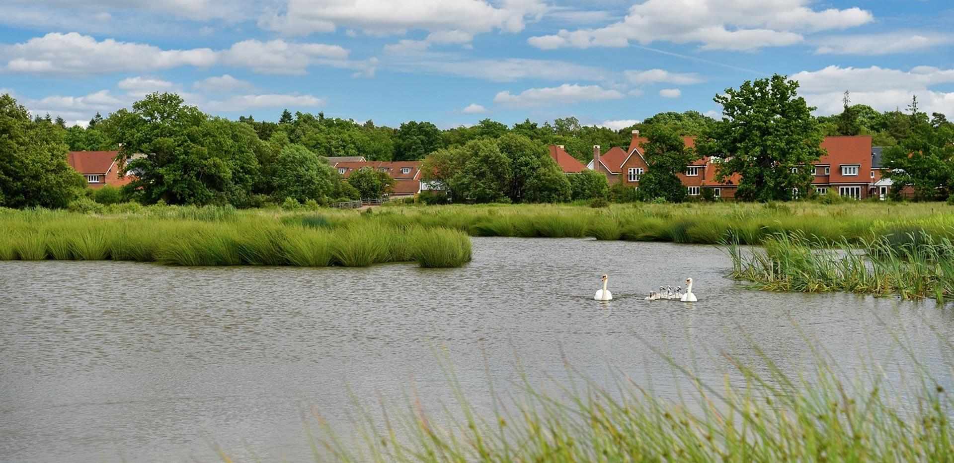 Berkeley, Edenbrook, Exterior, Country Park