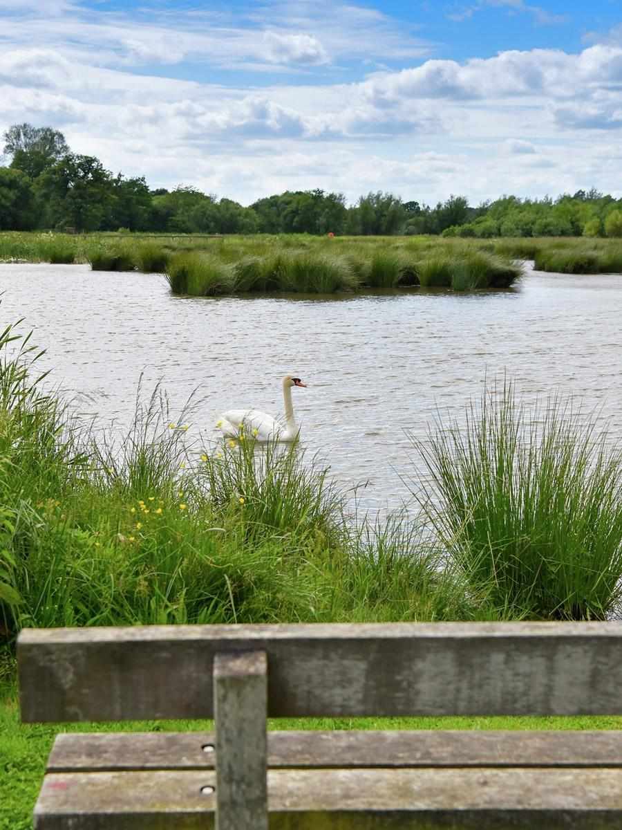 Berkeley, Edenbrook, Exterior, Country Park