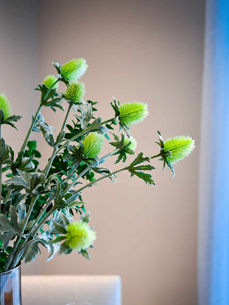 St James, Heritage Walk, Interior, View 18