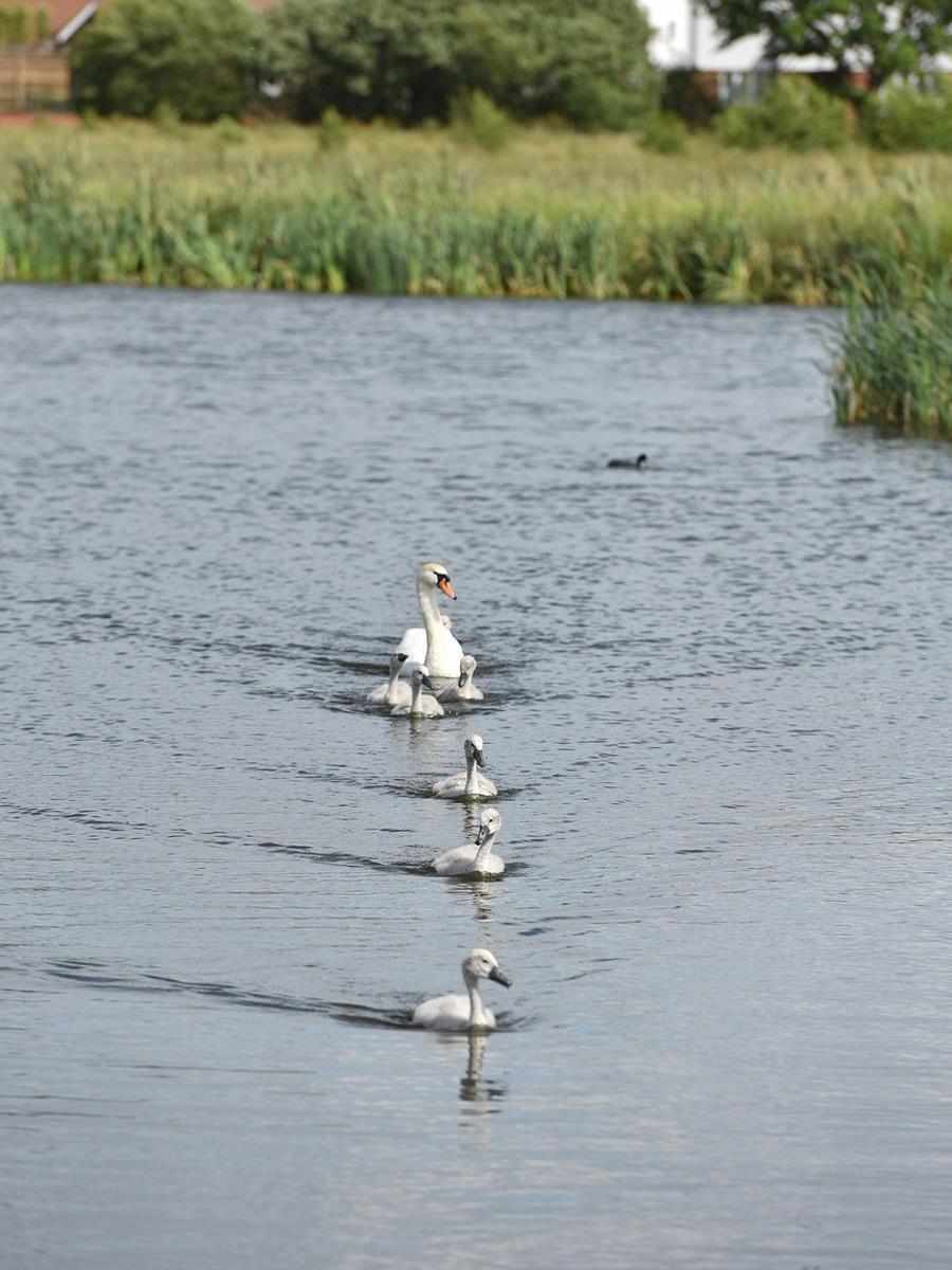 Berkeley, Edenbrook Village, Local Area, Country Park