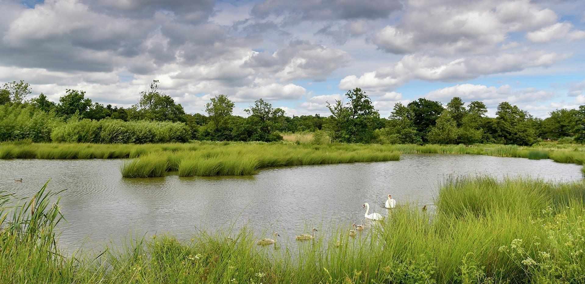 Berkeley, Edenbrook Village, Local Area, Country Park