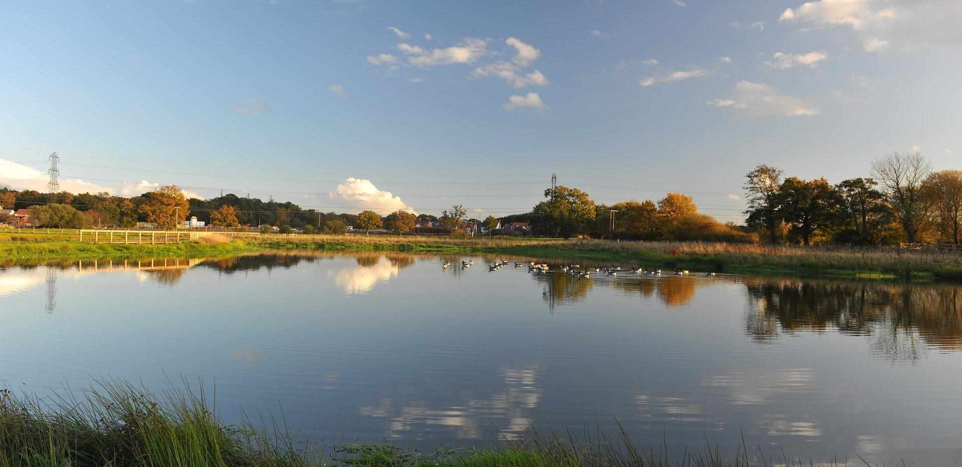 Berkeley, Edenbrook Village, Local Area, Lake