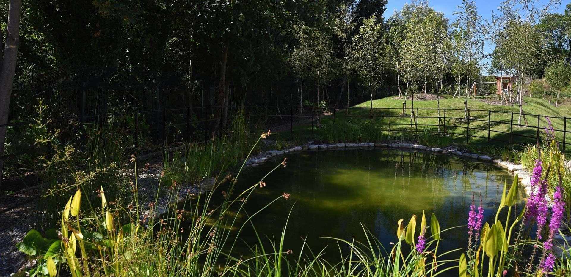 Berkeley, Ryewood, Coppice Drive, Local Area, Pond