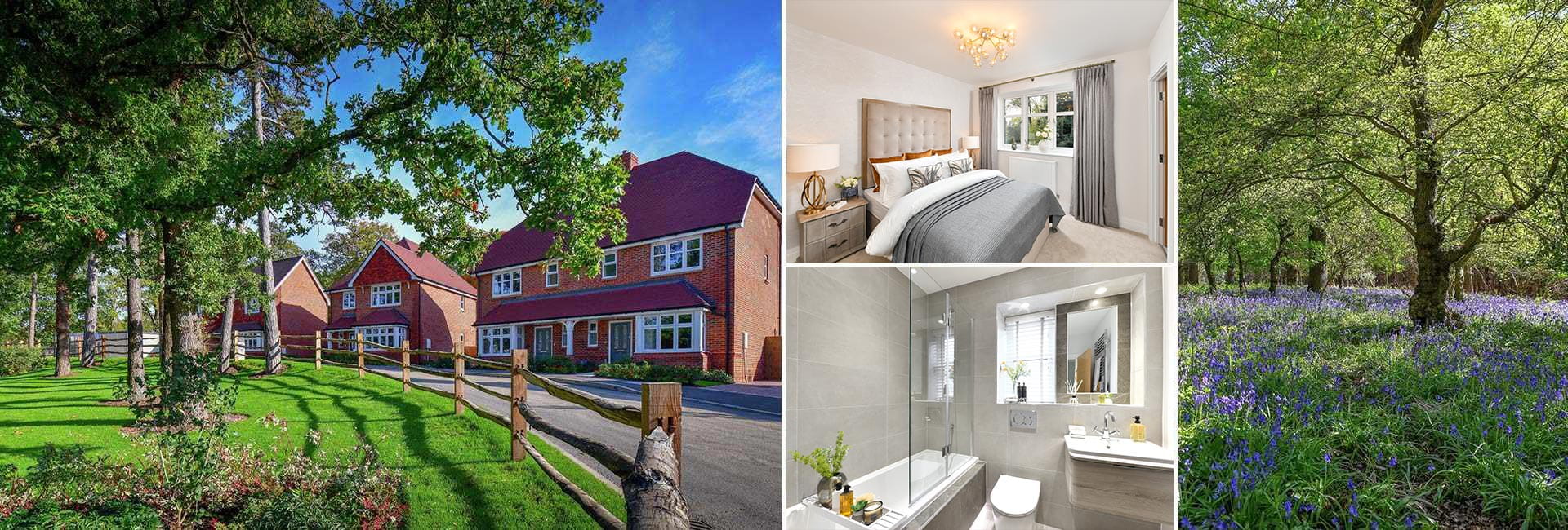 Berkeley, Pachesham, Development, Header