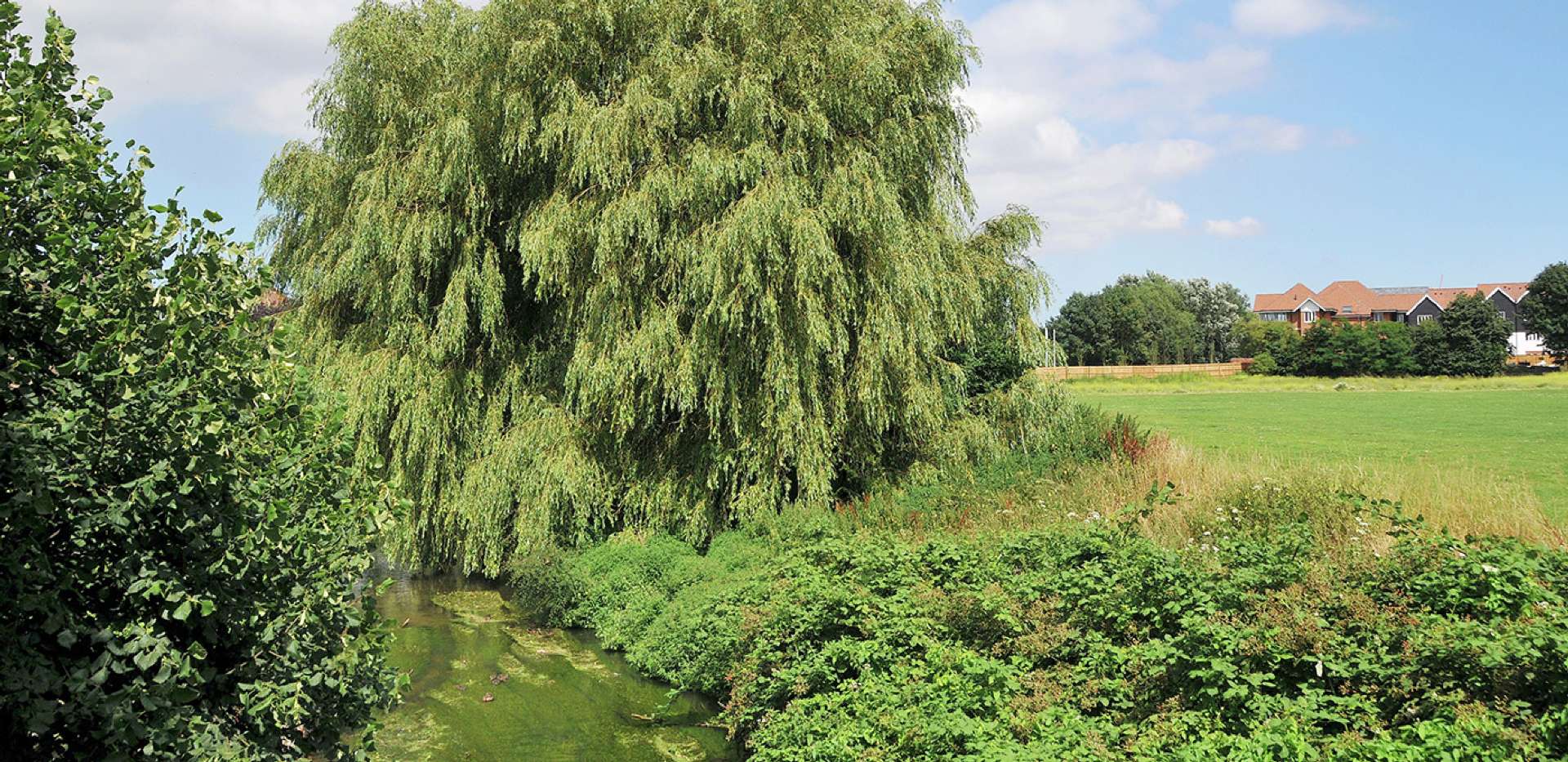 Berkeley, Kingsbrook Park, Kingsbrook Park River, Local Area