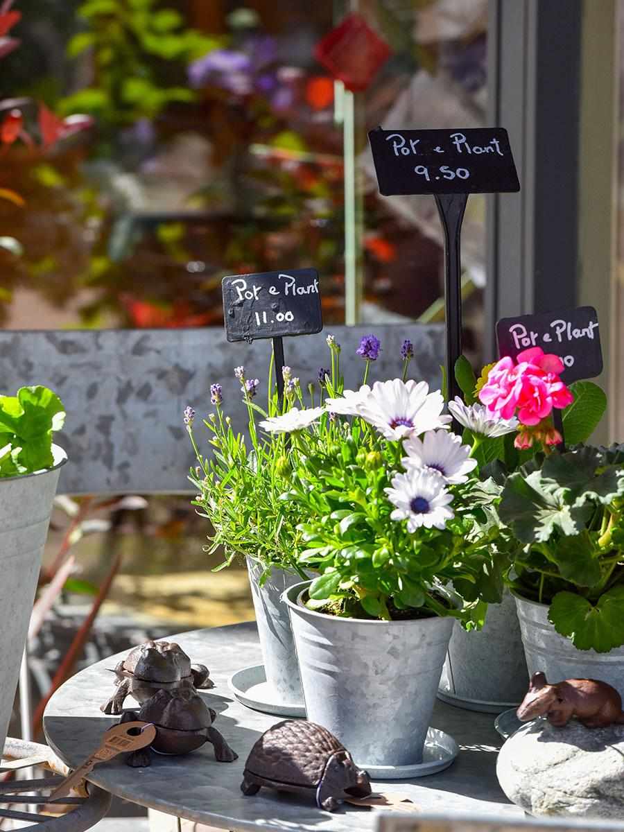 Berkeley, Forbury, Local Area, Florist