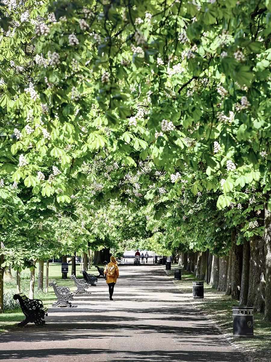 Berkeley, Forbury, Local Area, Recreation