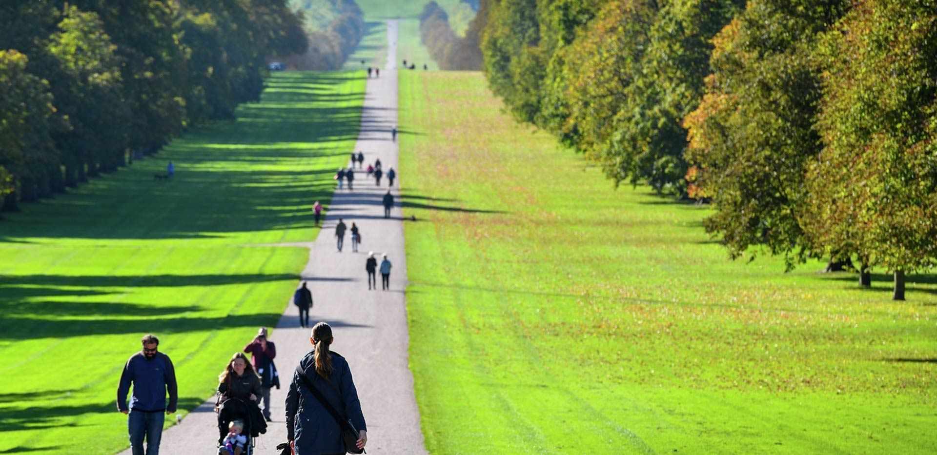 Berkeley, Brompton Gardens, Local Area, Great Windsor Park