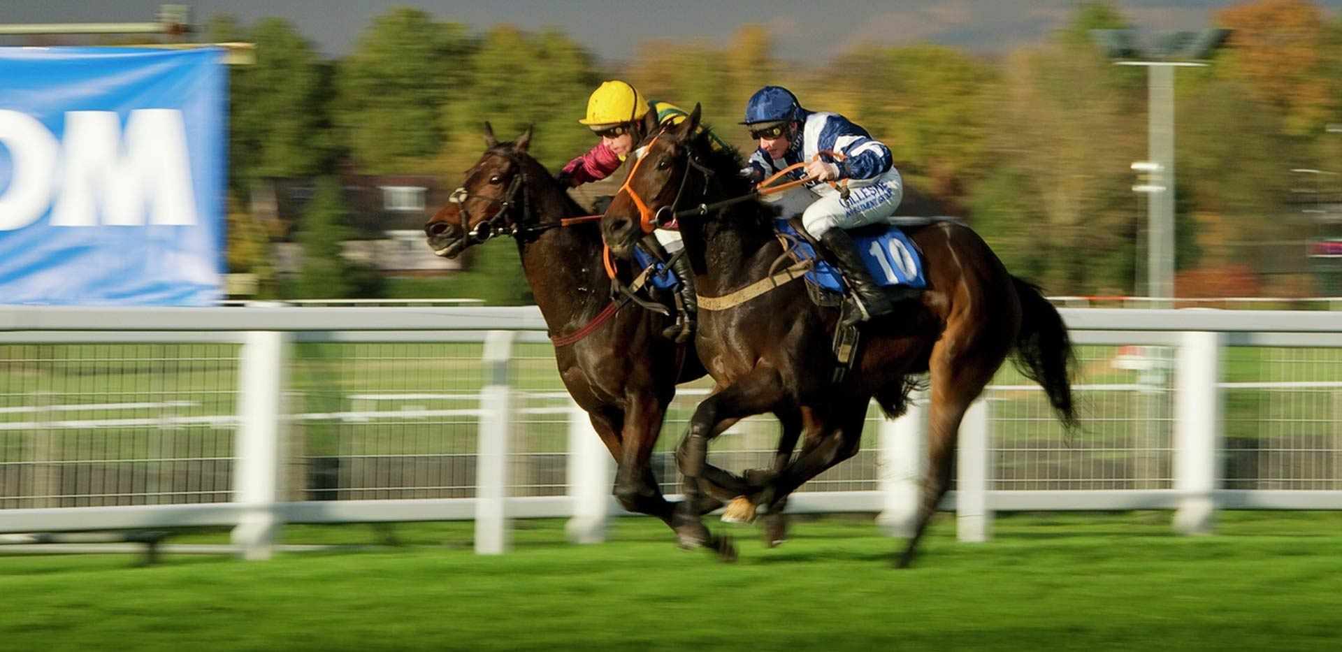 Berkeley, Brompton Gardens, Local Area, Windsor Park, Horse Race