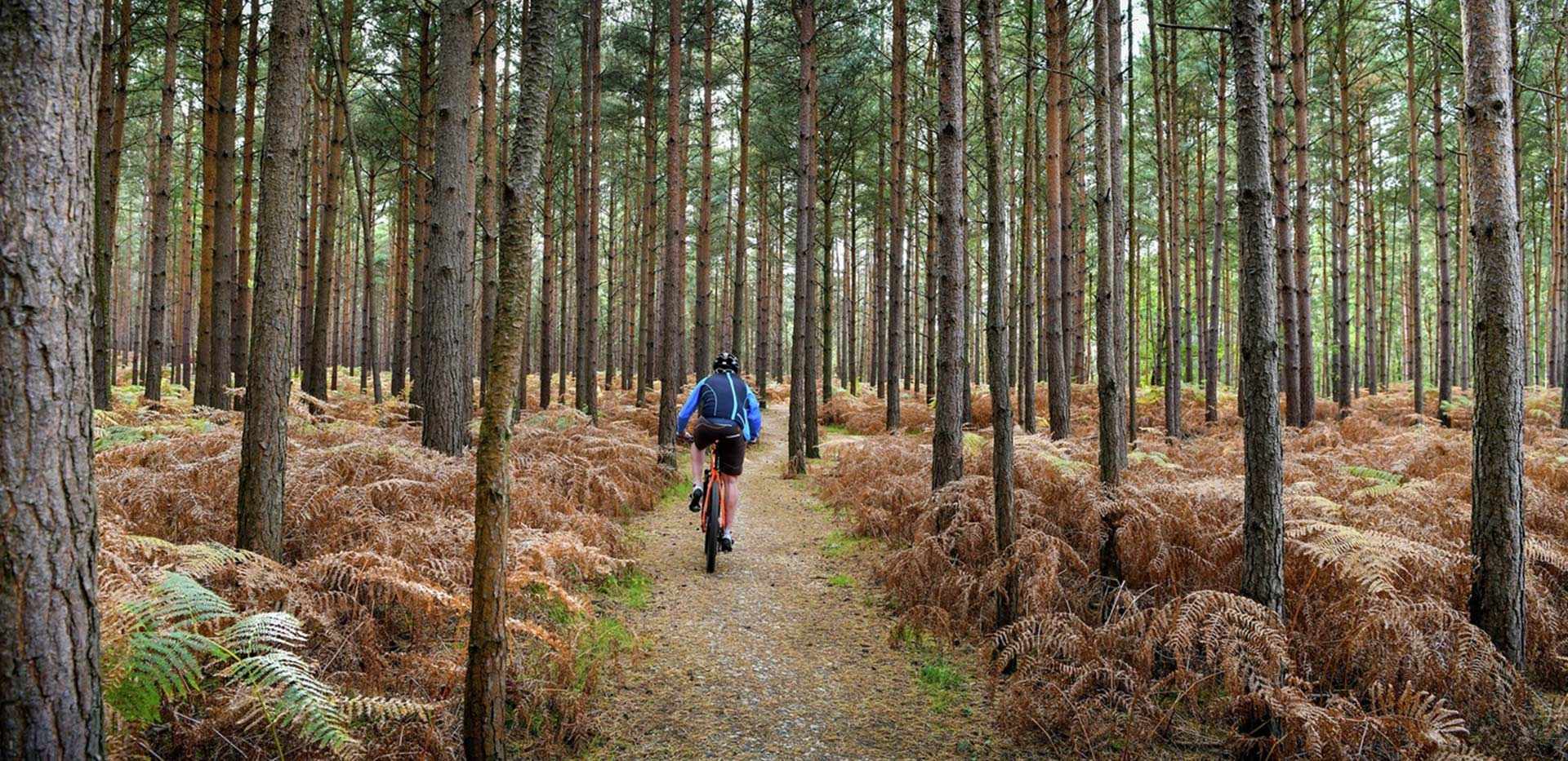 Berkeley, Brompton Gardens, Local Area, Windsor Park, Cycling