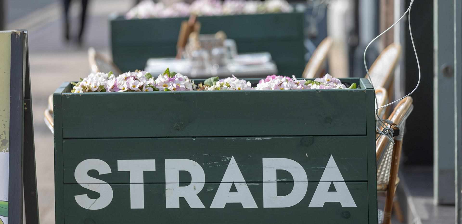 Berkeley, Wimbledon Hill Park, Local Area